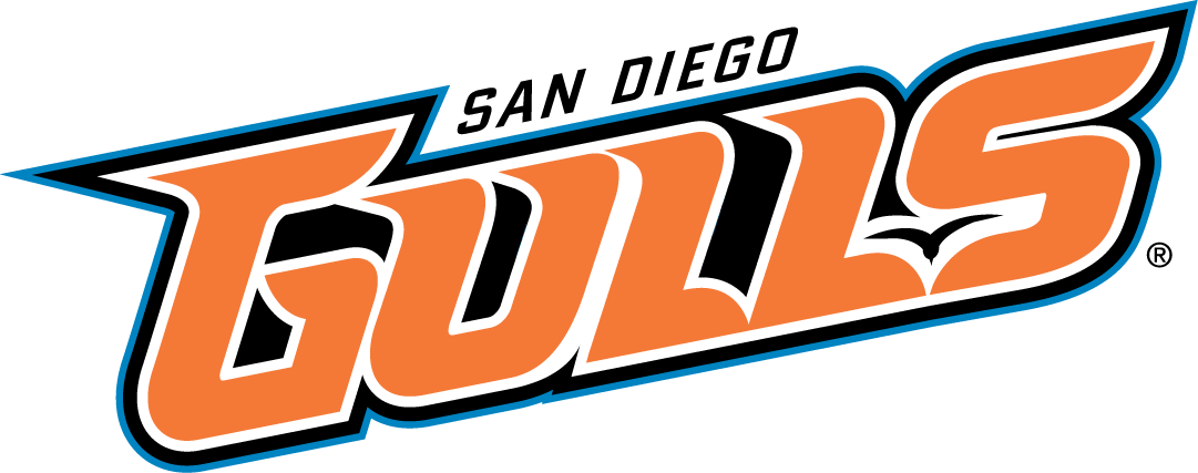 San Diego Gulls 2015-Pres Wordmark Logo iron on transfers for clothing